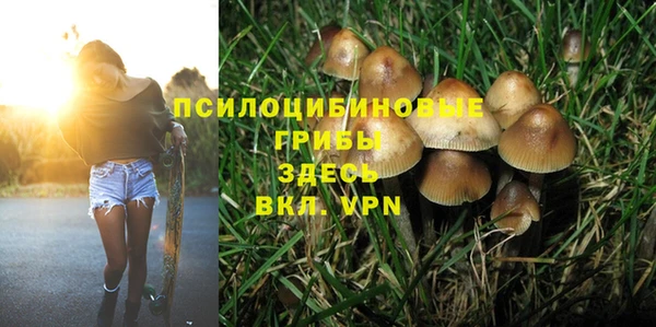 твердый Аркадак