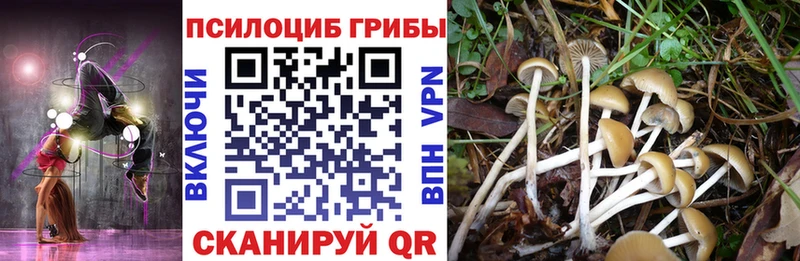 сколько стоит  Гудермес  Галлюциногенные грибы GOLDEN TEACHER 